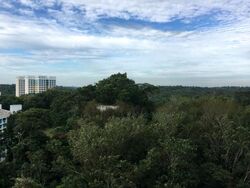 Eco Sanctuary (D23), Condominium #468839321